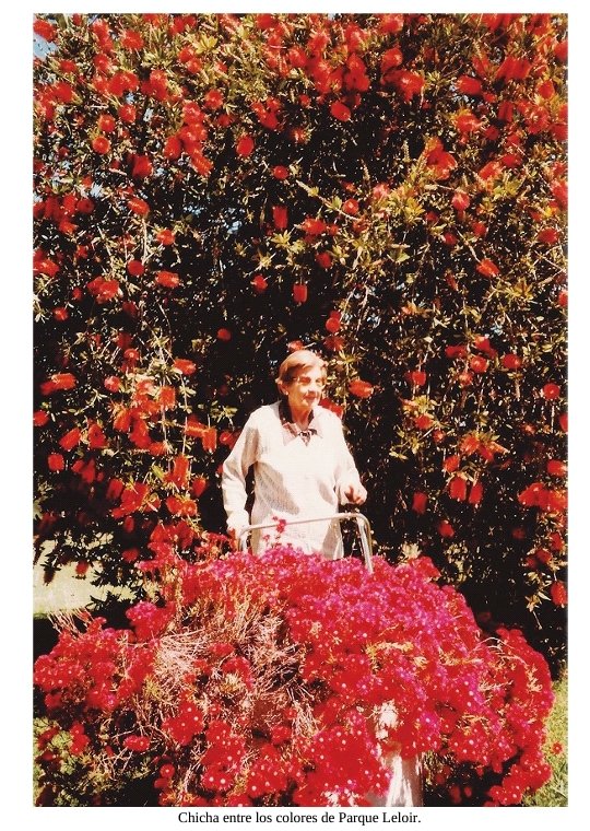Se conoció la última foto del Indio Solari: el asombroso parecido con su madre 2 madre%20indio%20solari%20libro%20mitelefe.jpg 6a28a22619aa4