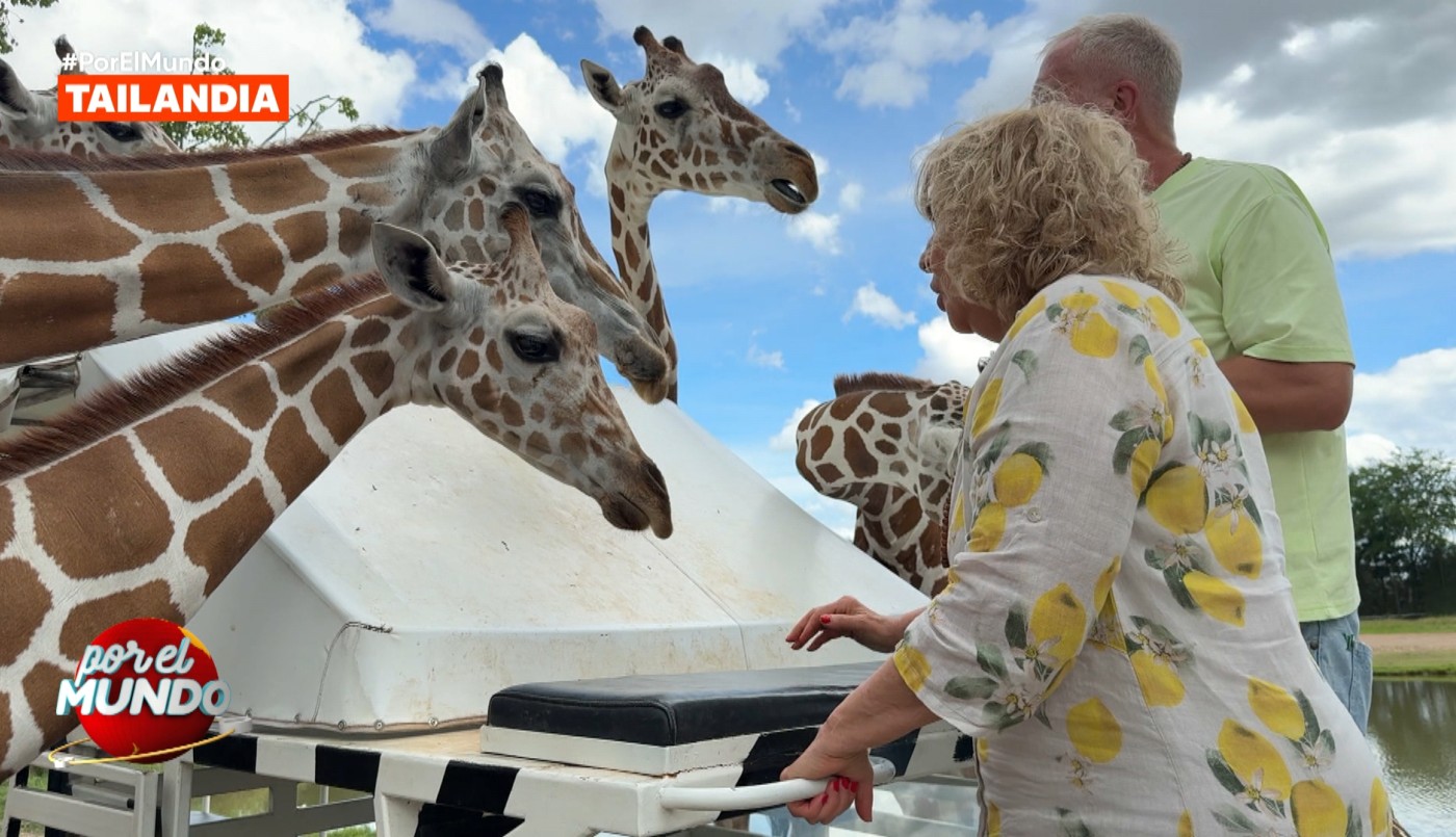 Georgina Barbarossa y Marley recorrieron un santuario de jirafas en Tailandia | Mejores Momentos