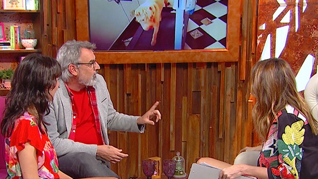 José Antonio, el perro fit de Benito Fernández | El diván de Vero