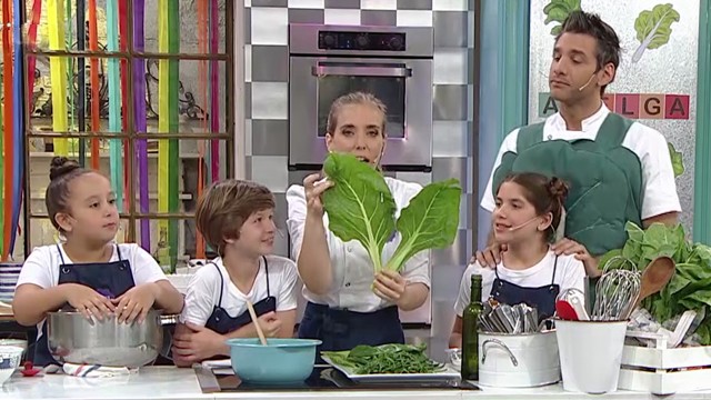 Programa 36 | Programas