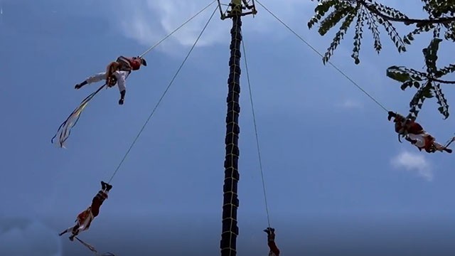 Parque Xcaret - México | #Imperdibles