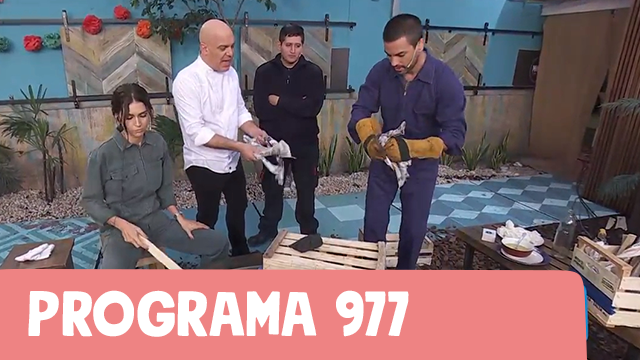 Programa 977 | Programas