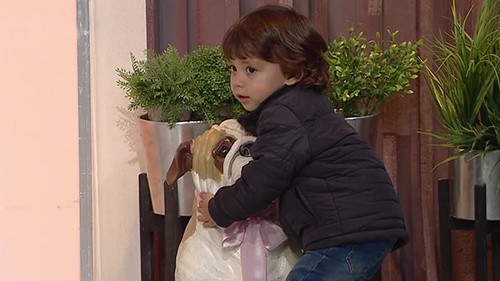 El hijo de Gustavo Conti se robó el perro de Vero | El diván de Vero