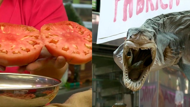 Tomates gigantes y tiburones: conocé el Mercado de Valencia | Mejores Momentos