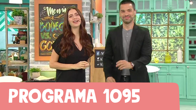 Programa 1095 | Programas
