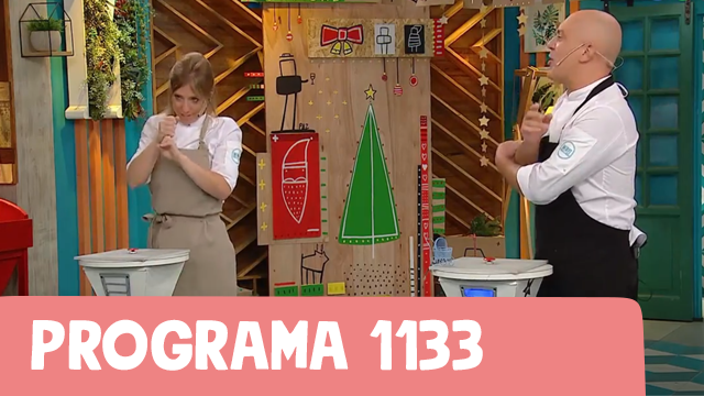 Programa 1133 | Programas