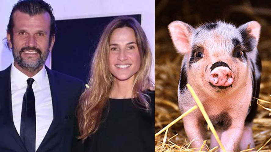 La fiscal de la investigación aseguró que se comieron al chancho que arrojaron del helicóptero | Sociedad