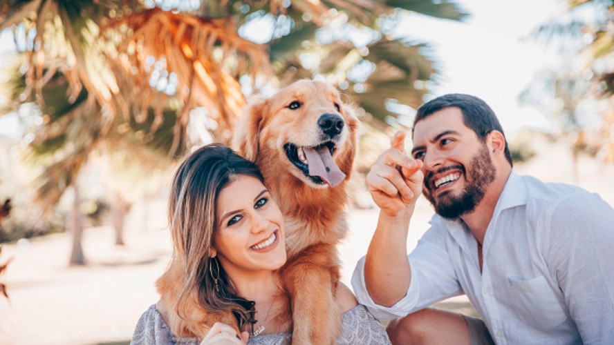 Polémica: ¿está mal llamar mascotas a los animales domésticos? | Virales