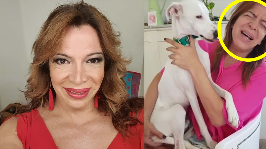 Lizy Tagliani es una apasionada por los perros: ¡Mirá todo lo que comparte con ellos! | Espectáculos