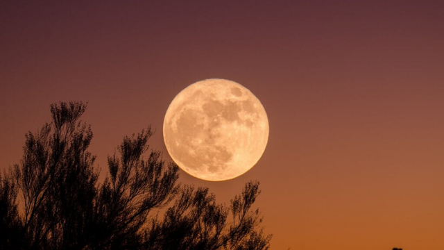 Superluna de gusano: cuándo poder verla desde Argentina | Sociedad