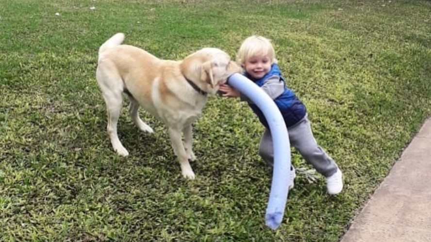 ¡La tierna coreo de Mirko con su perro Bailey! | Espectáculos