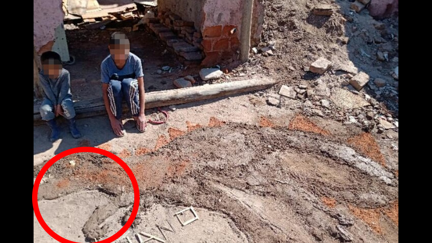 El niño que conmovió a todos por la tarea de arte que hizo con los materiales que tenía en su casa | Virales