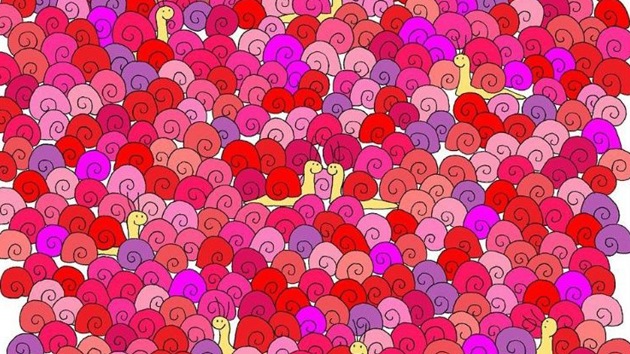 Reto viral: ¿Dónde está el corazón? | Virales