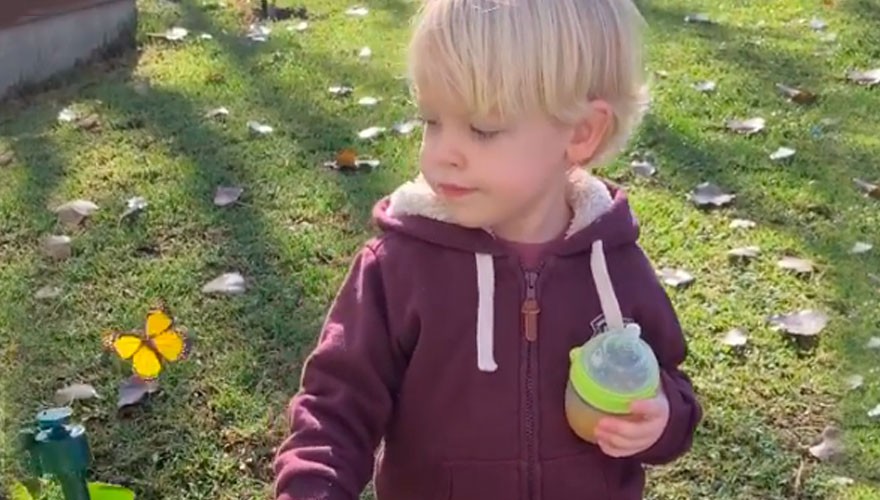 El tierno video de Mirko saludando a su huerta | Espectáculos