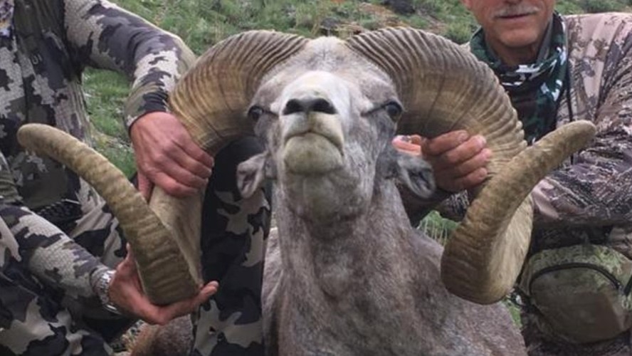 El hombre que mató a dos animales en peligro de extinción | Sociedad