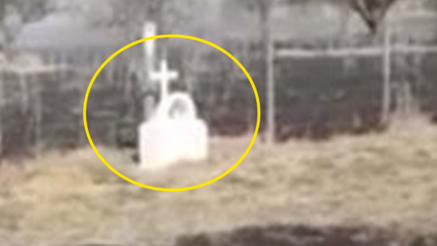Milagro en Argentina: un altar de la virgencita se salvó de un incendio | Curiosidades