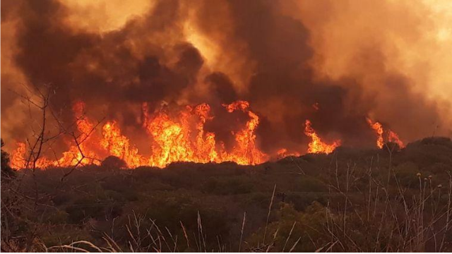 Incendio forestal en Córdoba: está "descontrolado y explosivo" | Sociedad