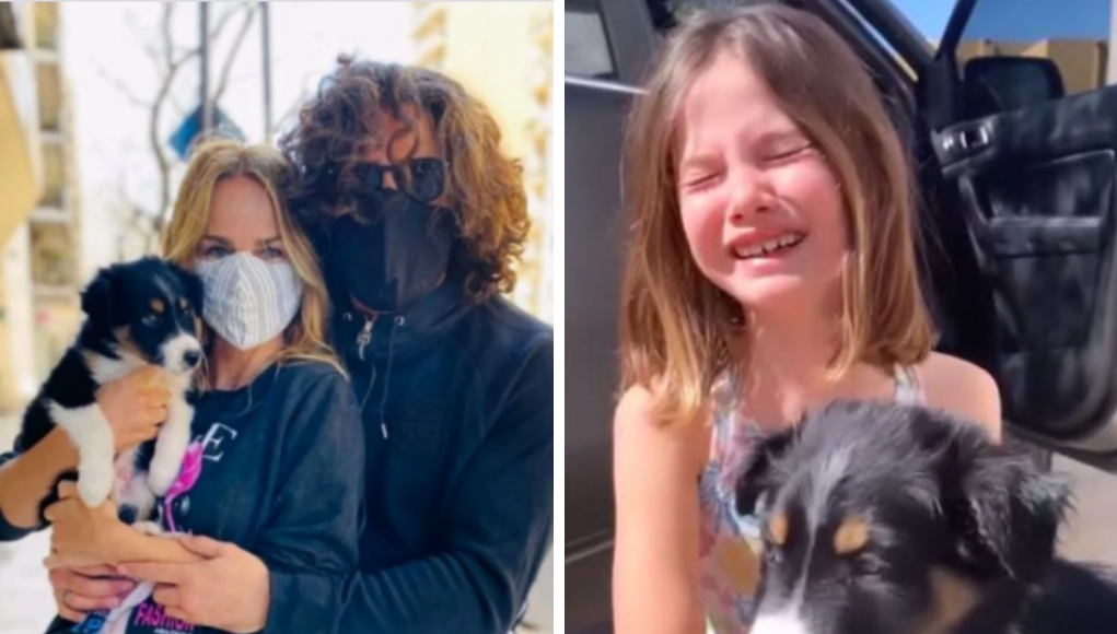 Luciano Castro y Sabrina Rojas adoptaron un perrito: la tierna reacción de sus hijos | Espectáculos