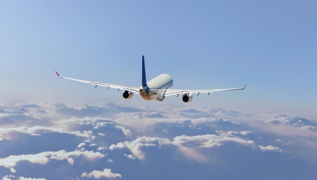 Bebé a bordo: nació en pleno vuelo y tendrá pasajes gratis para siempre | Virales