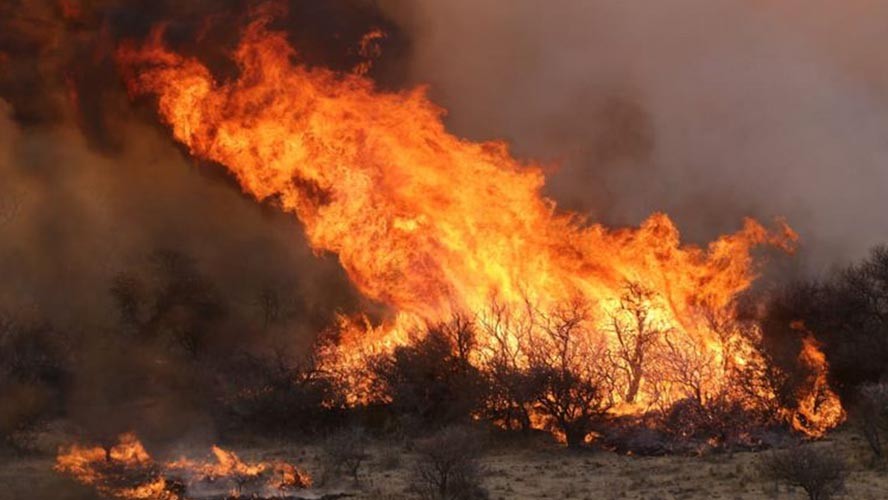 Incendios en Córdoba, dos focos siguen activos | Sociedad