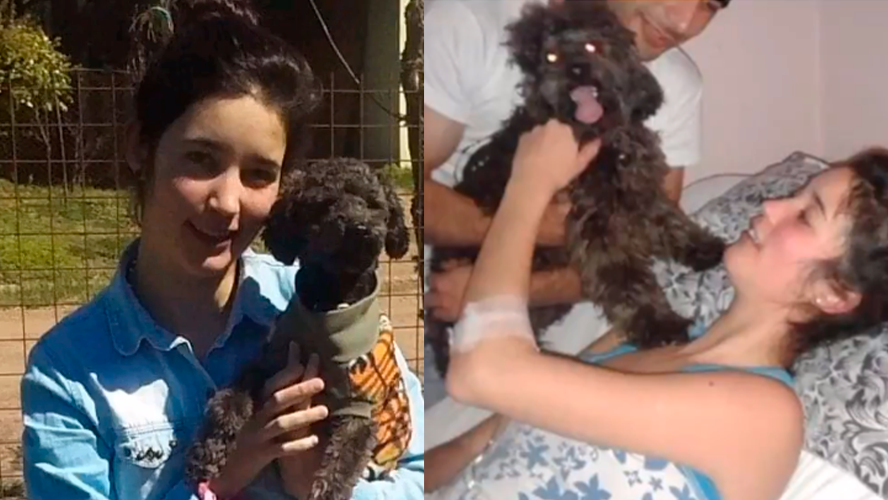 La historia de Benito: un perro incondicional | Virales