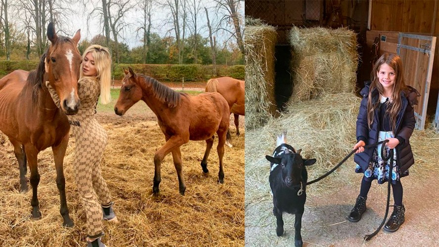 La desopilante cantidad de animales que tiene Wanda Nara en su casa de campo | Espectáculos
