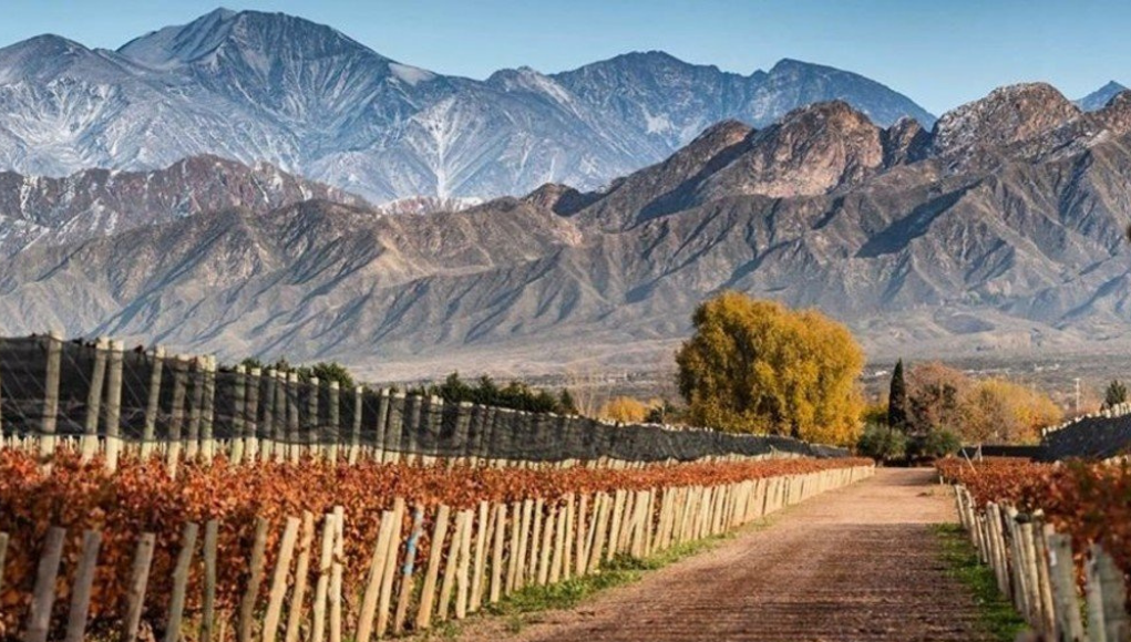 10 provincias que no exigen hisopado ni cuarentena para visitar | Sociedad
