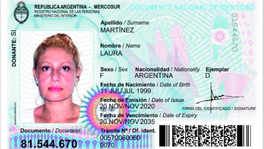 Nuevo DNI: conocé qué cambios trae y si te toca actualizarlo | Sociedad