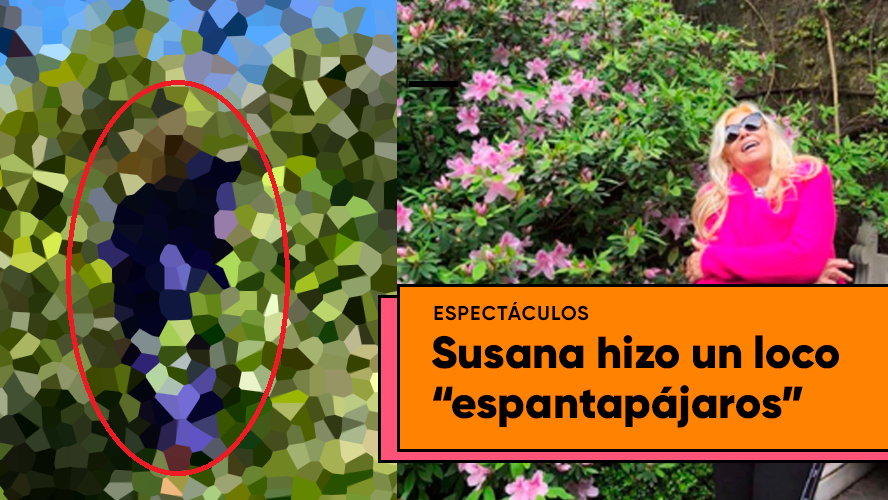 El extraño espantapájaros de Susana Giménez | Espectáculos