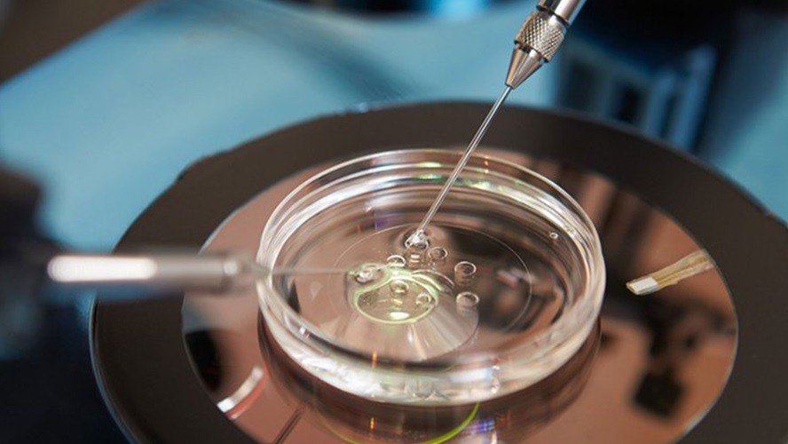 Ordenan a una obra social cubrir un tratamiento de fertilización asistida complejo | Salud