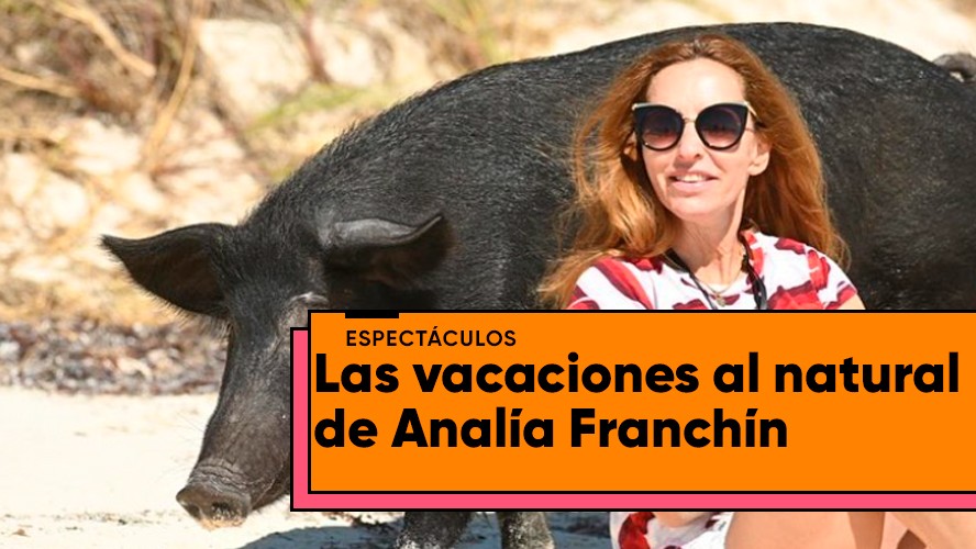 Las vacaciones con cerdos de Analía Franchín | Espectáculos