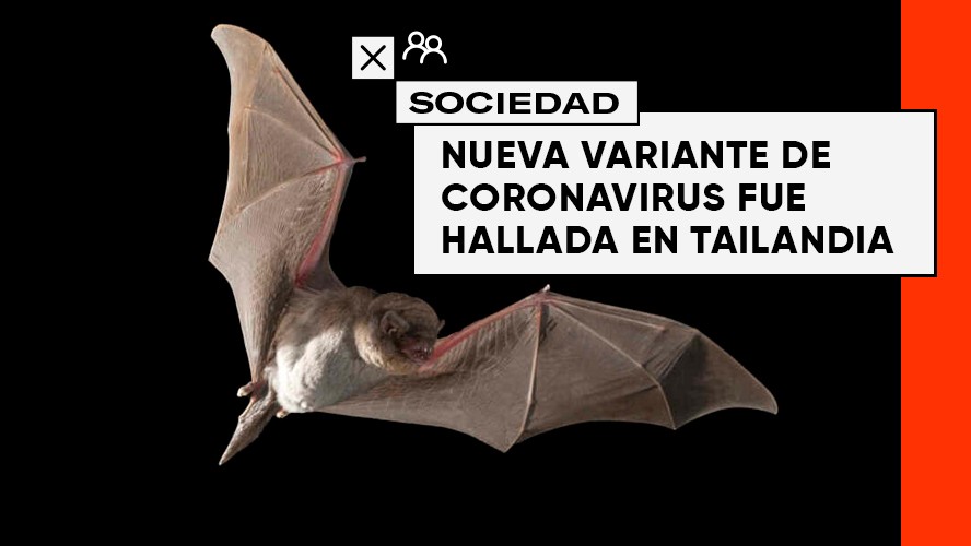 Advierten la presencia de un nuevo coronavirus en Tailandia | Sociedad