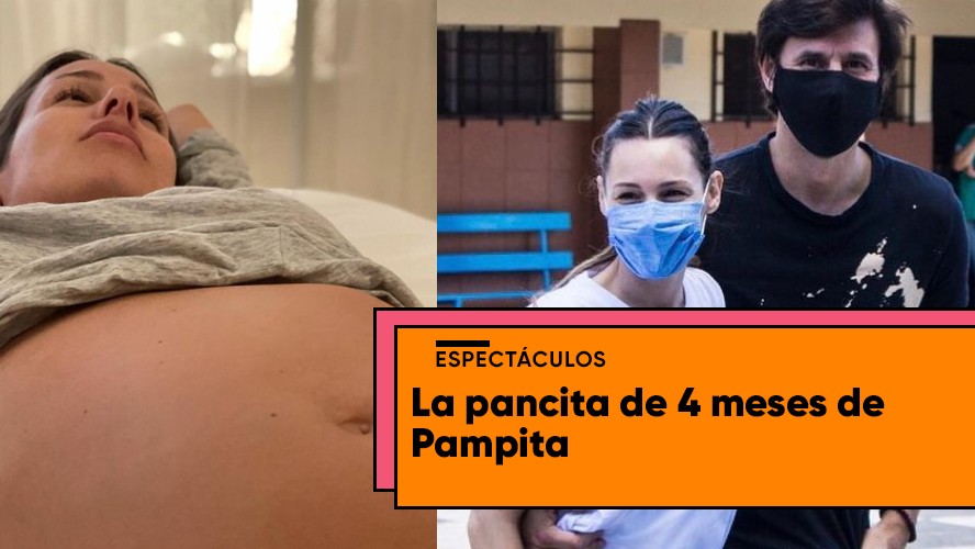 La tierna foto de la pancita de cuatro meses de Pampita | Espectáculos