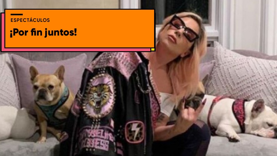 Lady Gaga recuperó a los perros que le habían robado | Espectáculos