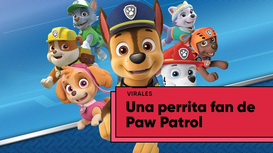 Una perrita fan de Paw Patrol | Virales
