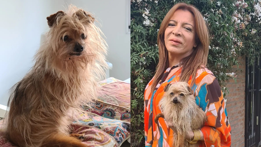 Angustia y dolor por la muerte de la perrita de Lizy Tagliani | Espectáculos