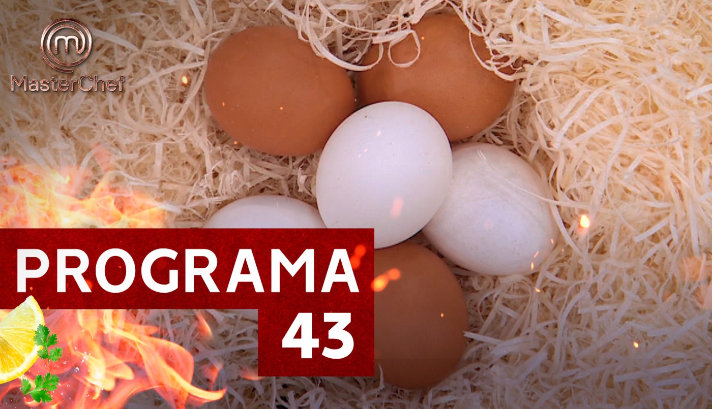 Programa 43 | Programas