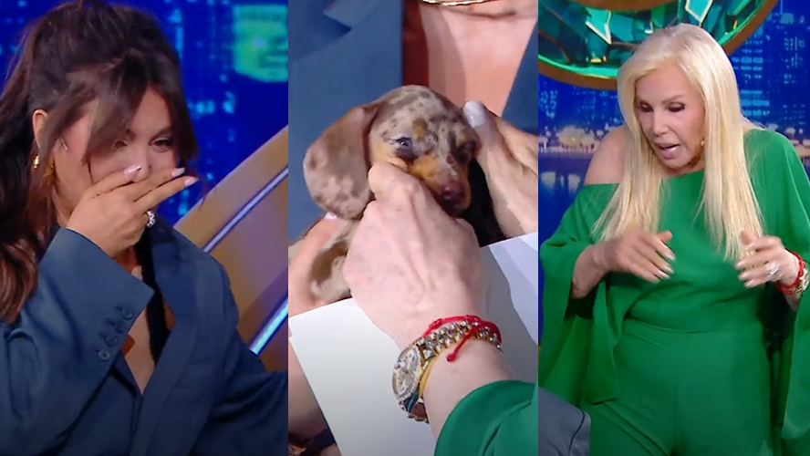 Una perlita en el living de Susana: la perrita de Wanda Nara se hizo p... | Mejores momentos