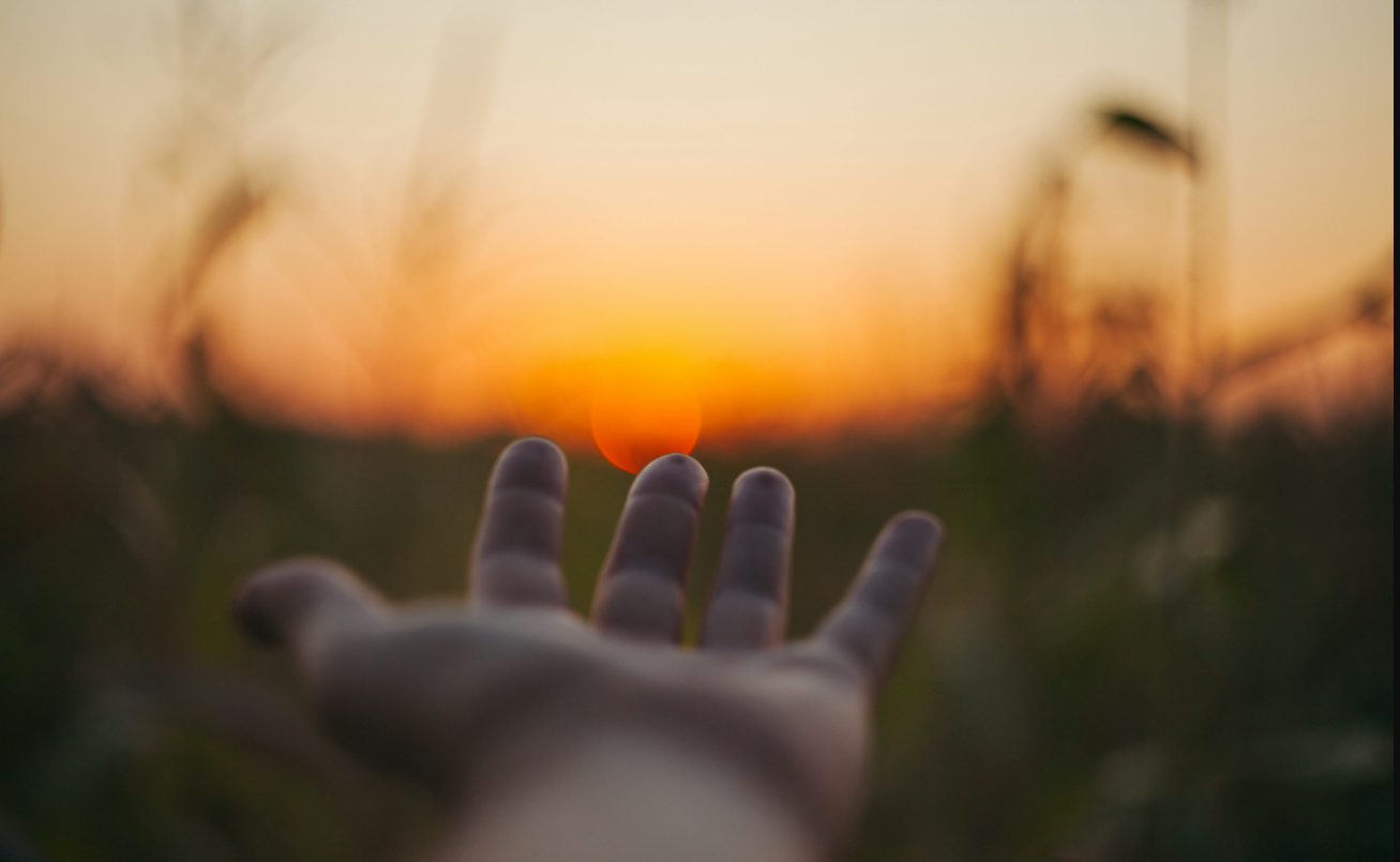 Vitamina D | Salud