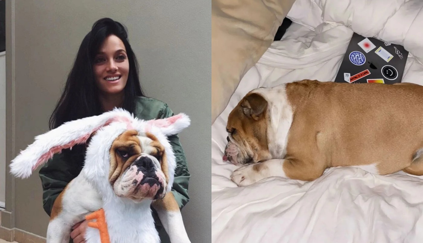 Oriana Sabatini despidió a Chopper, el perro que acompañó a la familia durante una década | Espectáculos