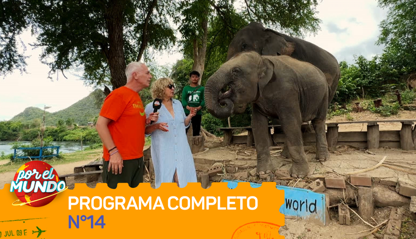 Programa 14 | Programas 2025/2026