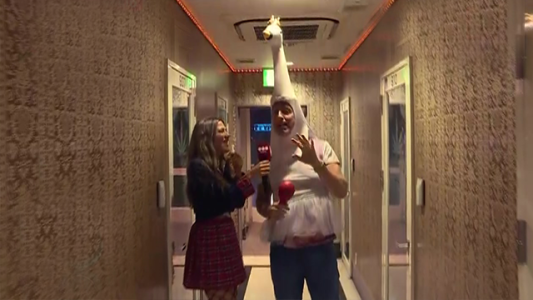 Karaoke, disfraces y descontrol en Tokio