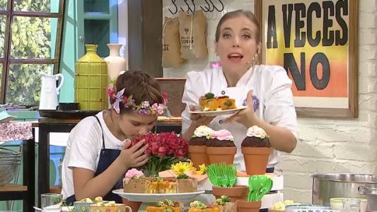 Programa 88