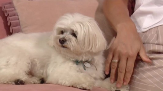 Terapia canina con Eugenia Tobal, Romeo y Copito