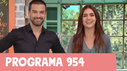 Programa 954