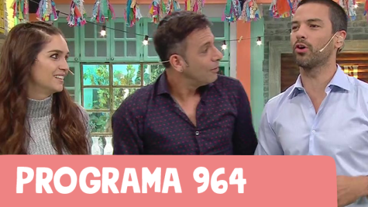 Programa 964