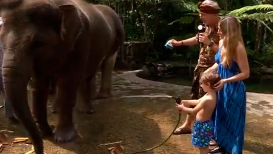 Marley, Jimena Barón y Momo bañaron elefantes en un ecoparque