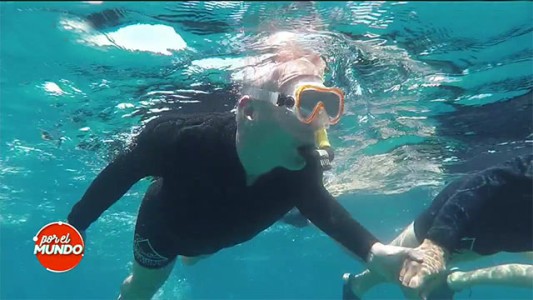Haciendo snorkel con los delfines en Eilat