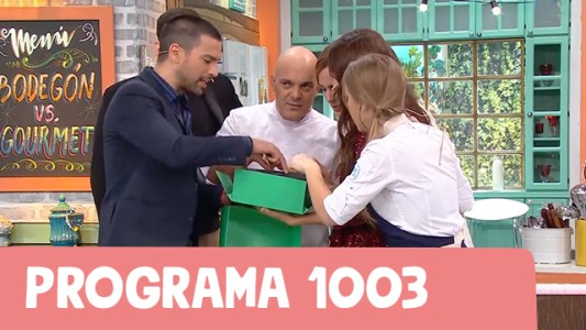 Programa 1003