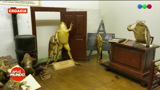 Un museo de... ¡Ranas!